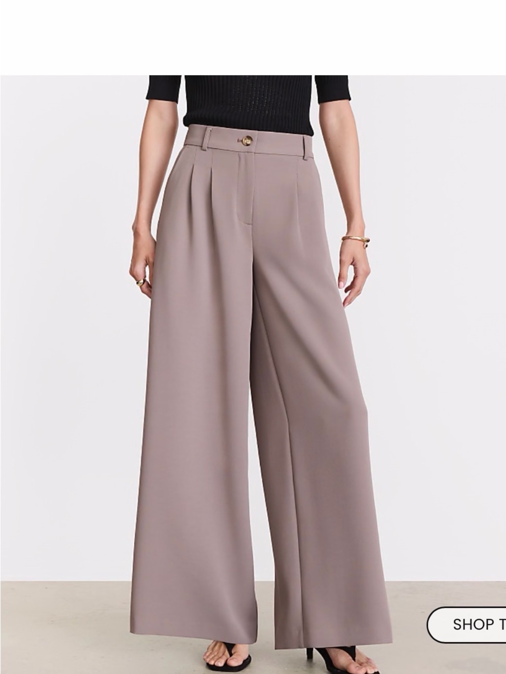 LOFT Wide-Leg High-Rise Pants in Taupe